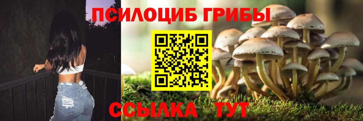 Избербаш  Галлюциногенные грибы GOLDEN TEACHER  Вход с VPN 